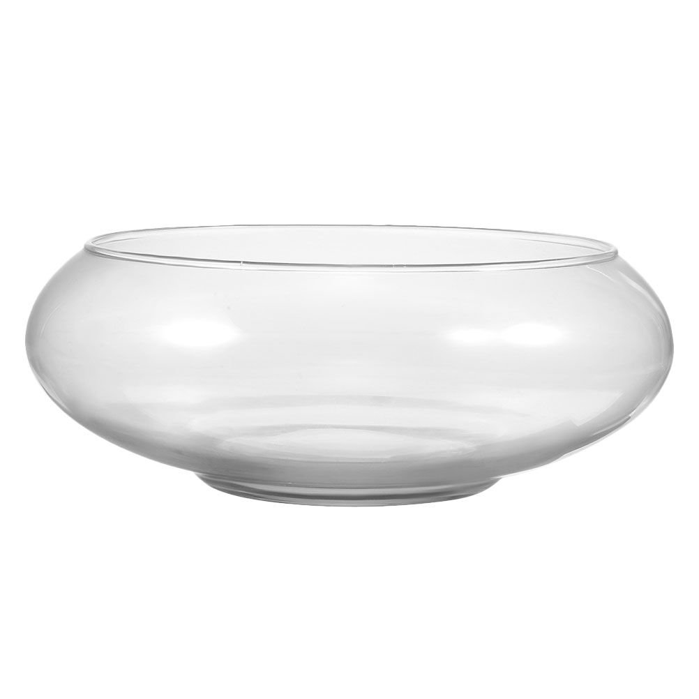 Propagation Station Vase - Jarrón de vidrio de boca ancha,
