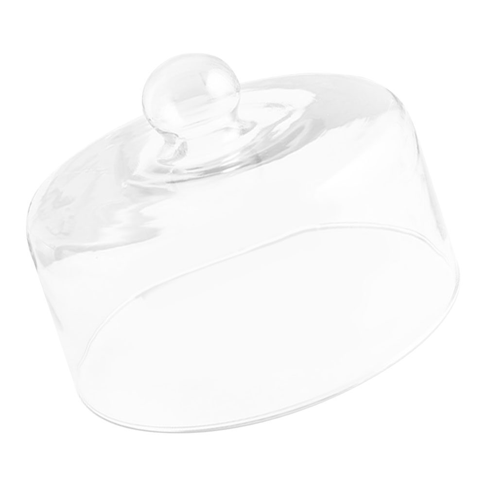 Plastic Dome Clear - Cúpula de Cristal Transparente de 21