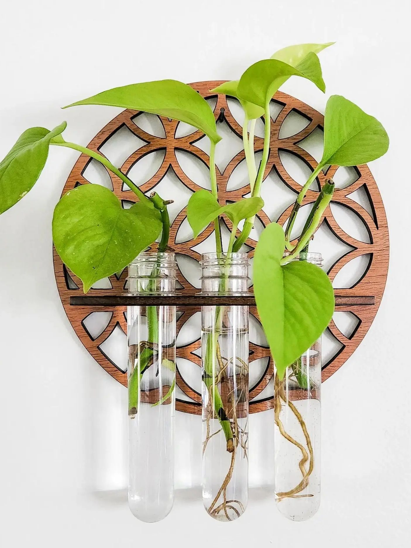 Propagation Station Vase - Maceteros de pared para jardín, colgador
