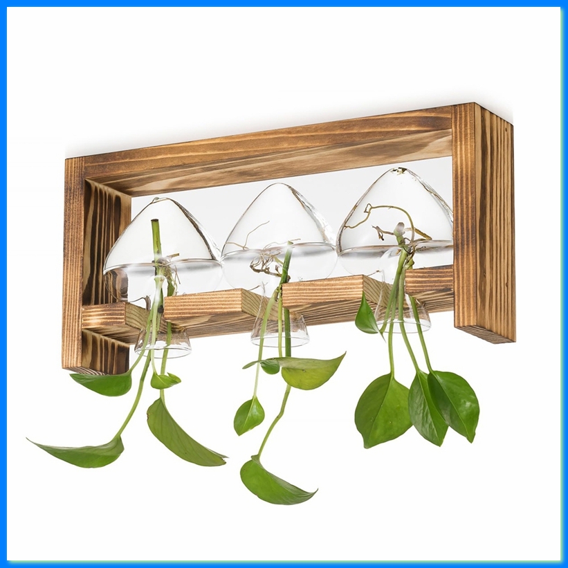 Propagation Station Vase - Estación de Propagación de Plantas de