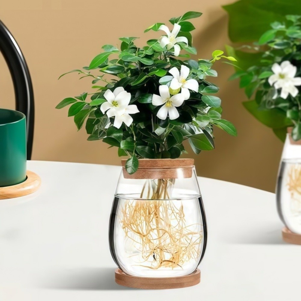 Propagation Station Vase - Maceta Hidropónica Transparente con Bandeja de
