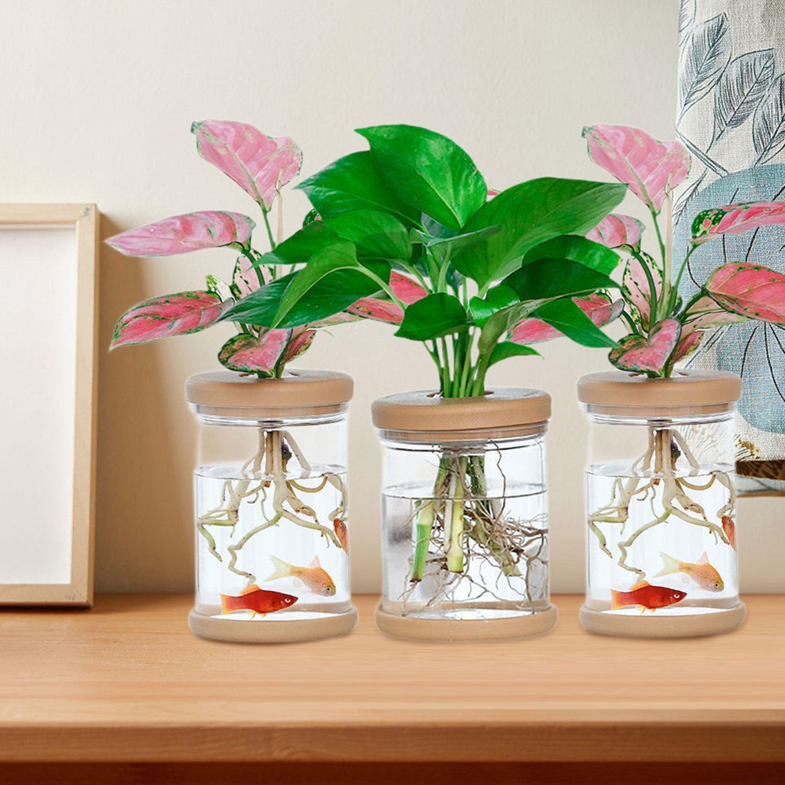 Propagation Station Vase - Floreros hidropónicos de 3 uds, jarrones