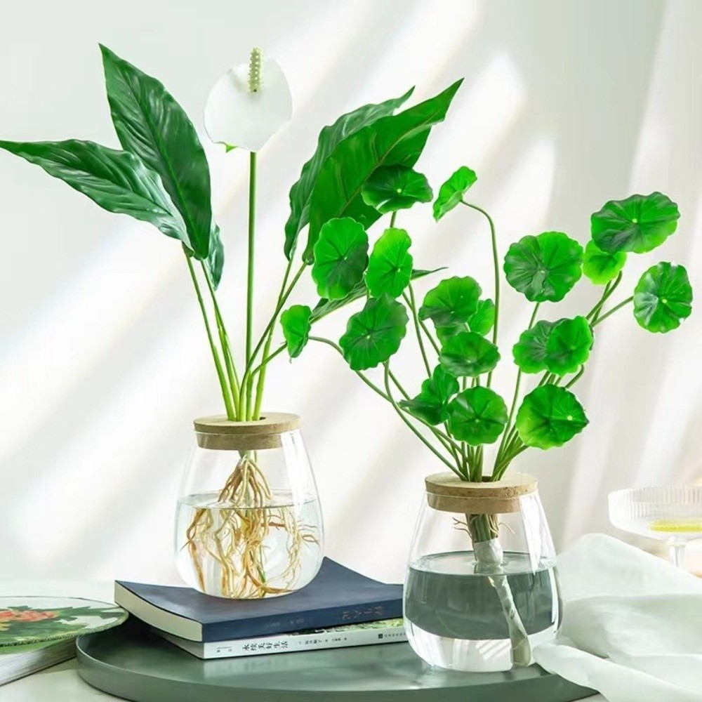 Maceta Hidropónica Transparent - Propagation Station Vase reseña y precio