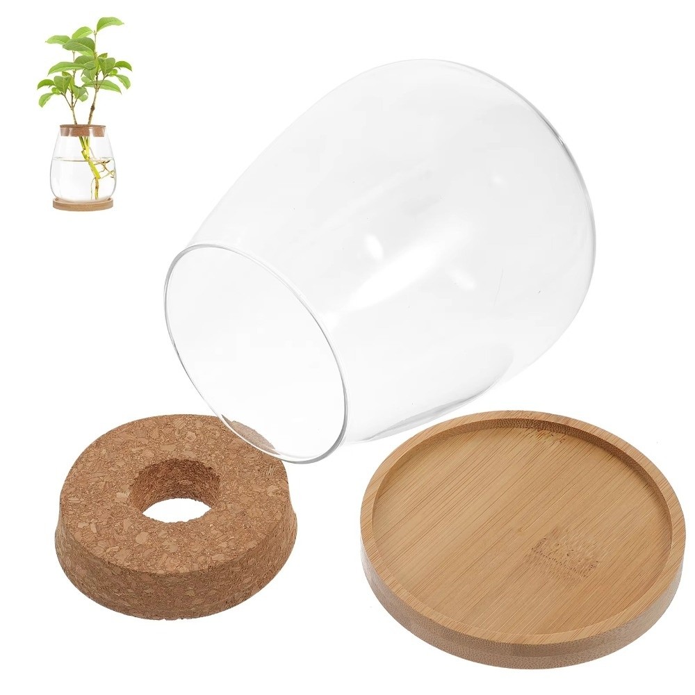 Maceta Hidropónica Transparent - Propagation Station Vase reseña y precio