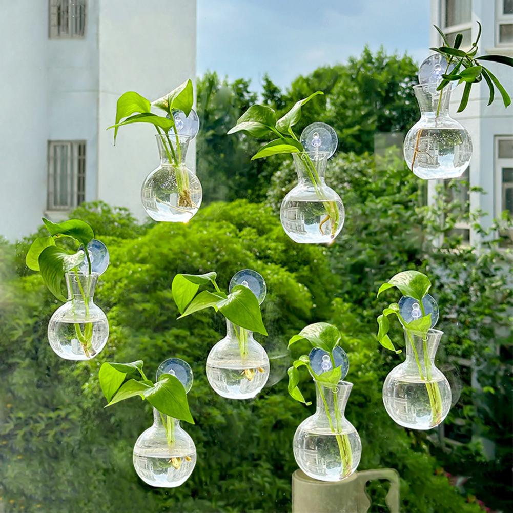 Maceta para ventana, soporte p - Propagation Station Vase reseña y precio