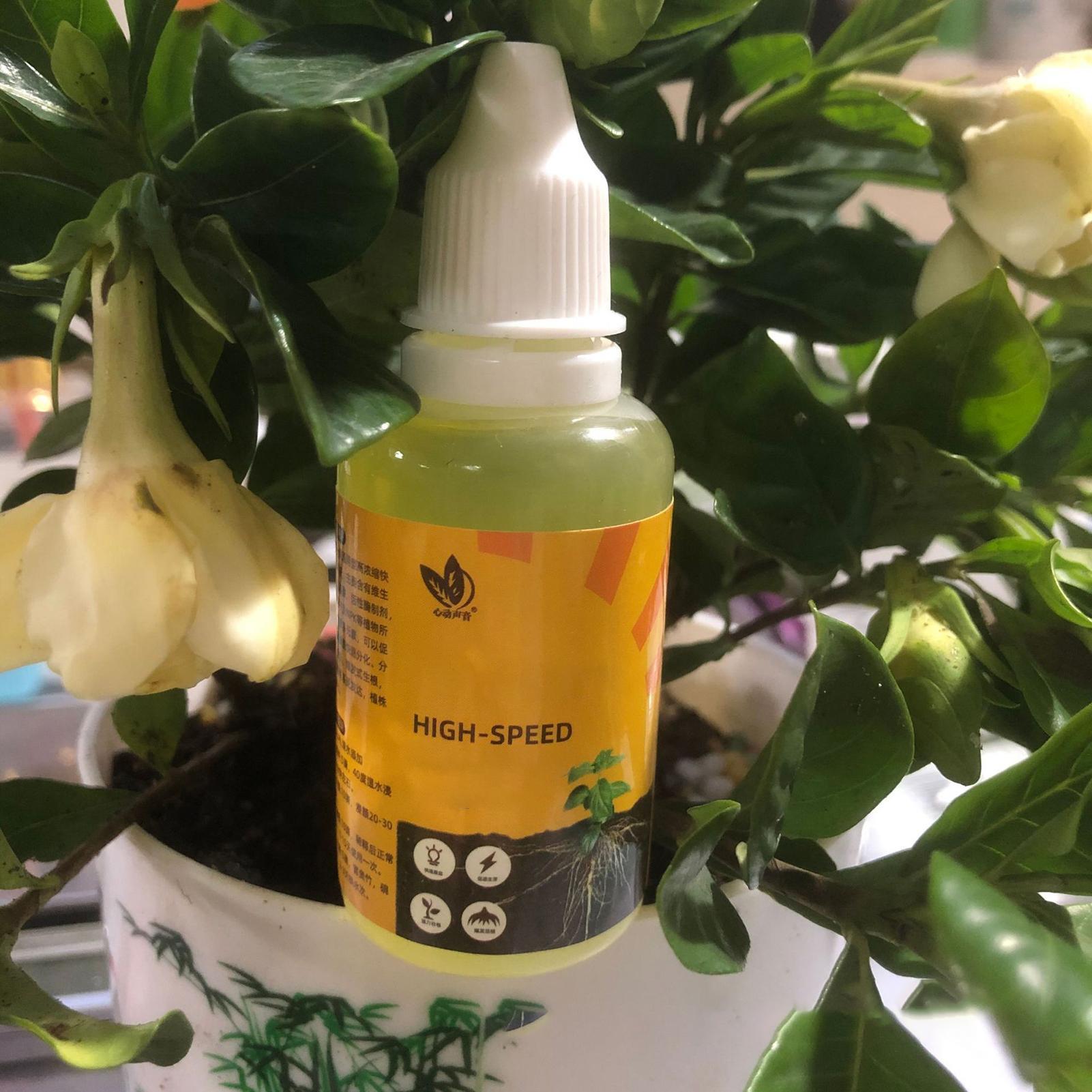 Estimulador de enraizamiento d - Rooting Hormone Powder reseña y precio