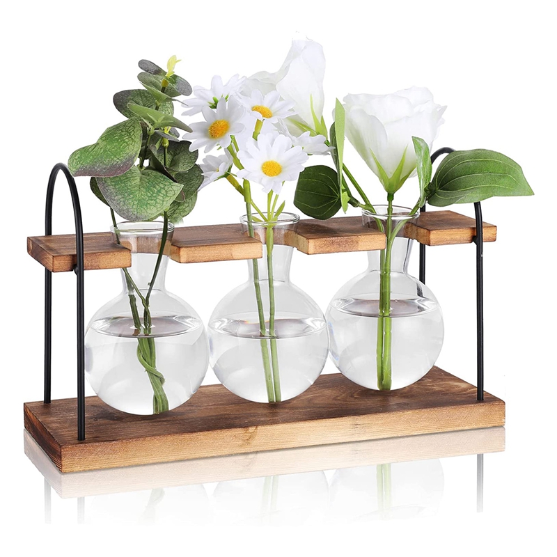 Estación de Propagación de Pla - Propagation Station Vase reseña y precio