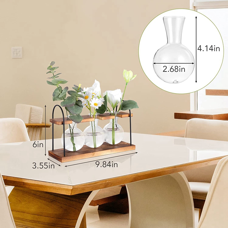 Estación de Propagación de Pla - Propagation Station Vase reseña y precio