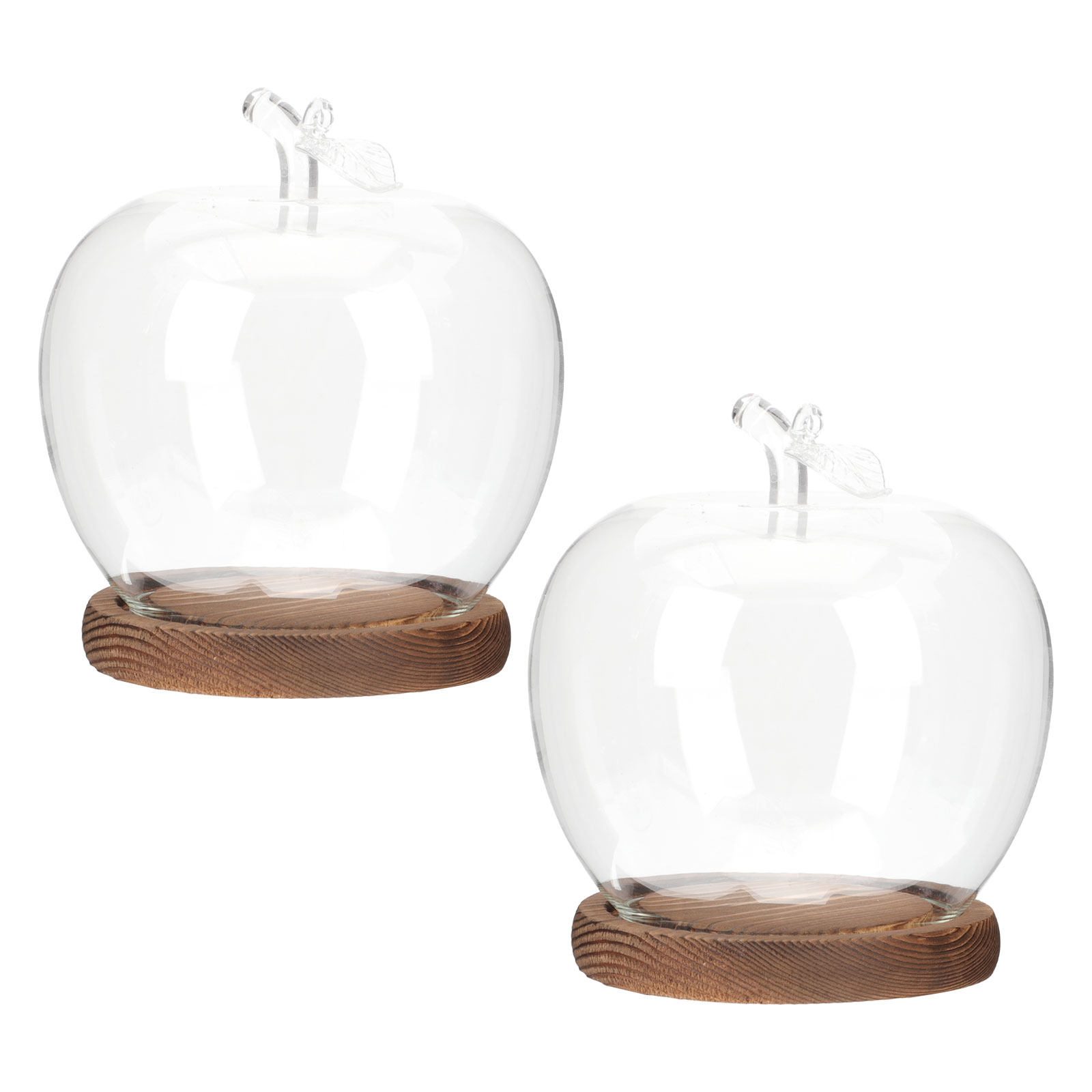 2 Campanas de Cristal con Base - Plastic Dome Clear reseña y precio