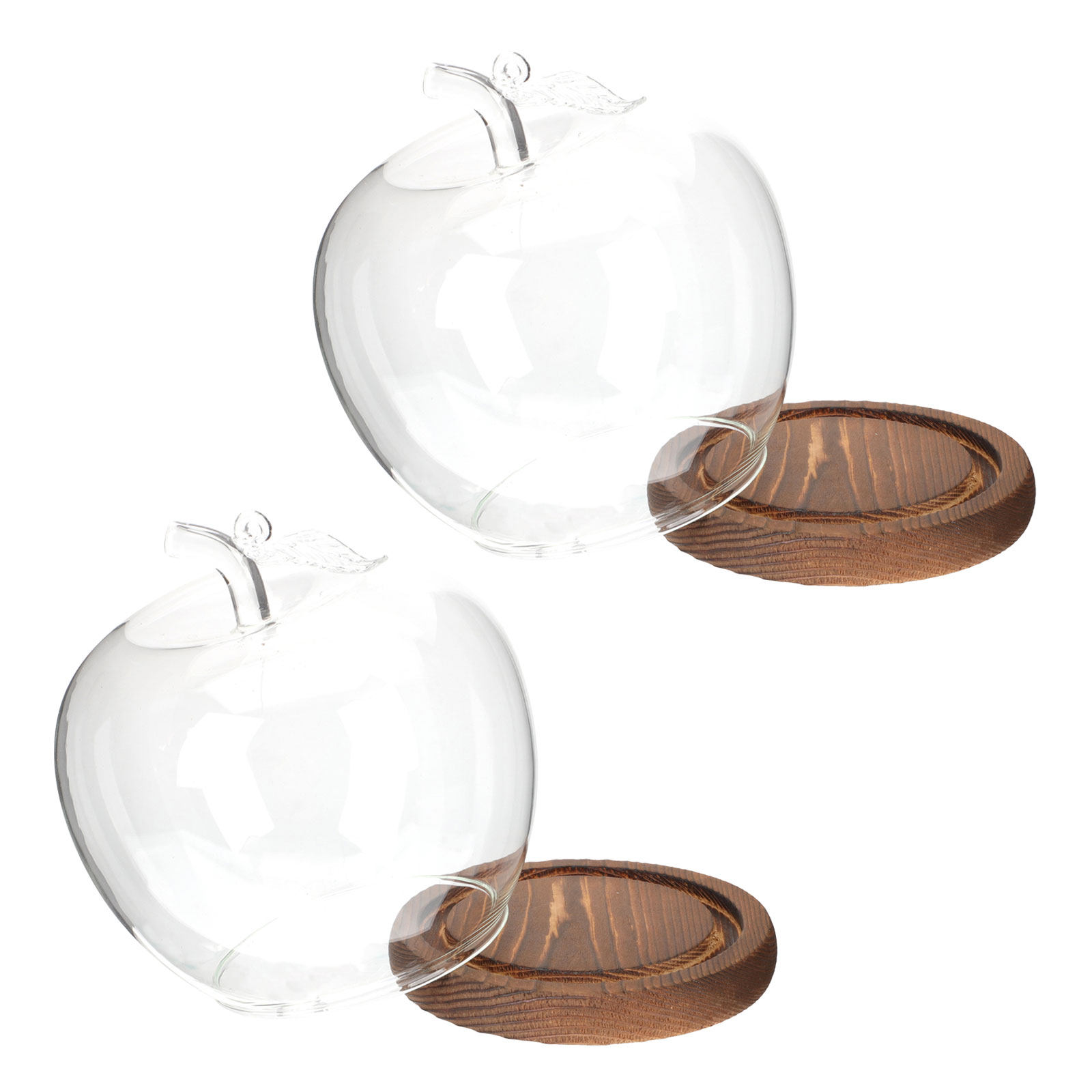 2 Campanas de Cristal con Base - Plastic Dome Clear reseña y precio