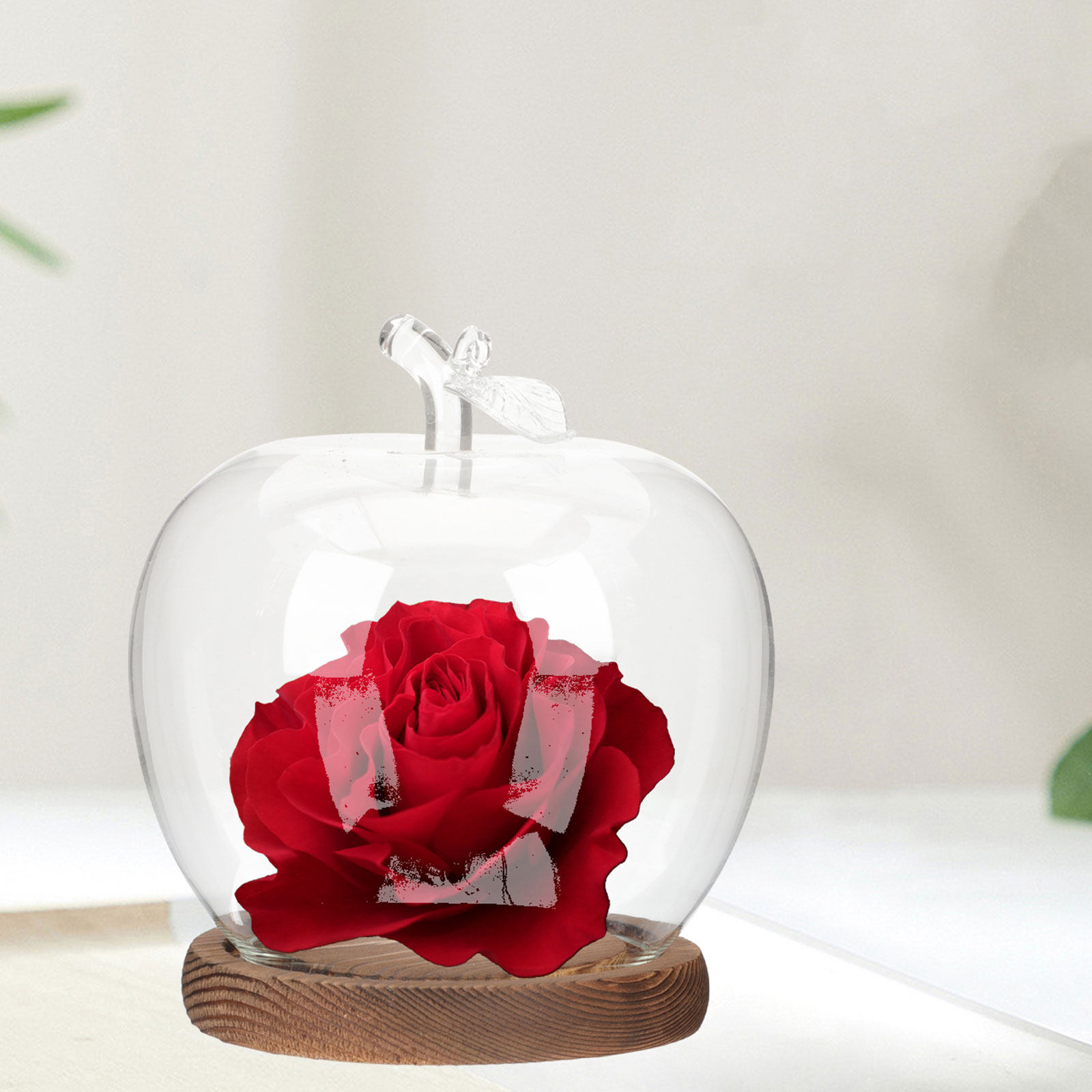 2 Campanas de Cristal con Base - Plastic Dome Clear reseña y precio